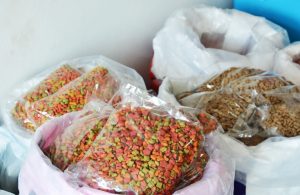 Closeout Dog Food Buyers